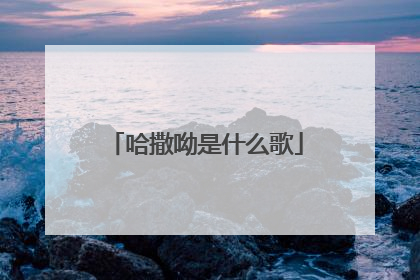 哈撒呦是什么歌