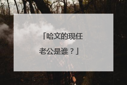 哈文的现任老公是谁？