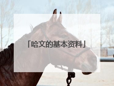 哈文的基本资料