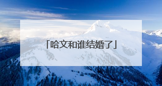 哈文和谁结婚了