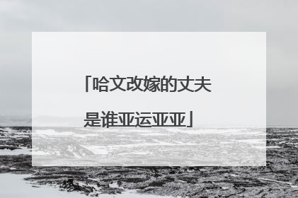 哈文改嫁的丈夫是谁亚运亚亚