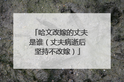 哈文改嫁的丈夫是谁(丈夫病逝后坚持不改嫁)