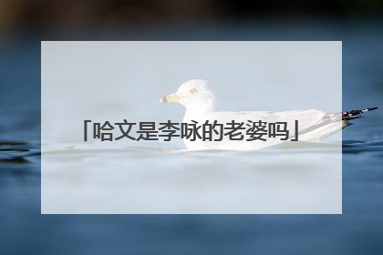 哈文是李咏的老婆吗