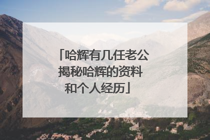 哈辉有几任老公 揭秘哈辉的资料和个人经历