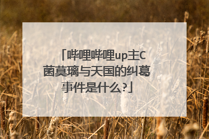哔哩哔哩up主C菌莫璃与天国的纠葛事件是什么?