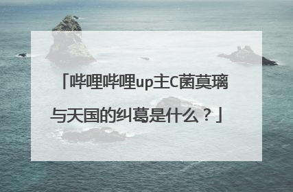 哔哩哔哩up主C菌莫璃与天国的纠葛是什么？