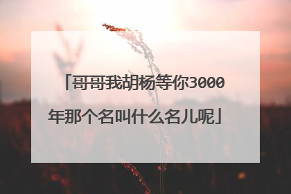 哥哥我胡杨等你3000年那个名叫什么名儿呢