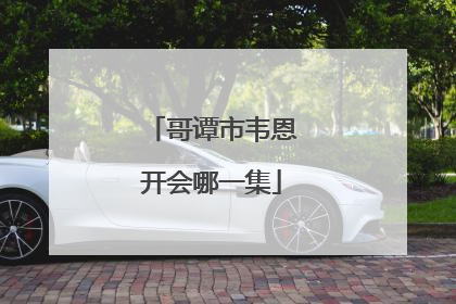 哥谭市韦恩开会哪一集