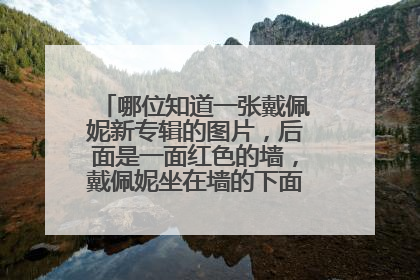 哪位知道一张戴佩妮新专辑的图片,后面是一面红色的墙,戴佩妮坐在墙的下面,求大图!!