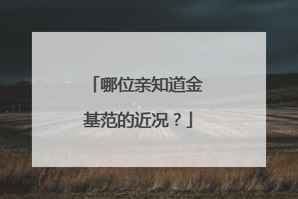 哪位亲知道金基范的近况?