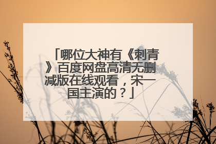 哪位大神有《刺青》百度网盘高清无删减版在线观看,宋一国主演的?