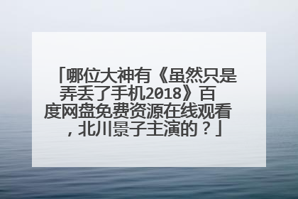 哪位大神有《虽然只是弄丢了手机2018》百度网盘免费资源在线观看,北川景子主演的?