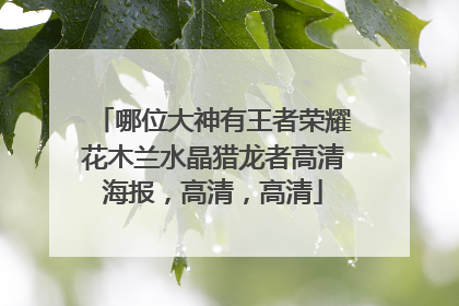 哪位大神有王者荣耀花木兰水晶猎龙者高清海报，高清，高清