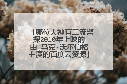 哪位大神有二流警探2010年上映的由 马克·沃尔伯格主演的百度云资源