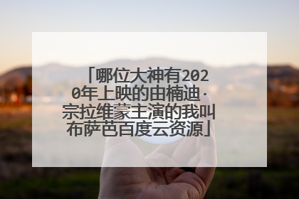 哪位大神有2020年上映的由楠迪·宗拉维蒙主演的我叫布萨芭百度云资源