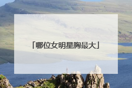 哪位女明星胸最大