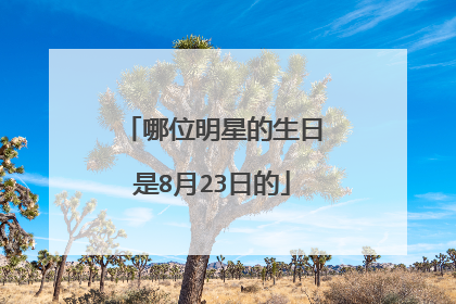 哪位明星的生日是8月23日的