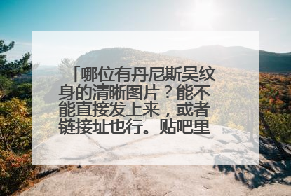 哪位有丹尼斯吴纹身的清晰图片?能不能直接发上来,或者链接址也行。贴吧里没找着。