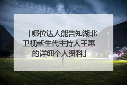 哪位达人能告知湖北卫视新生代主持人王惠的详细个人资料