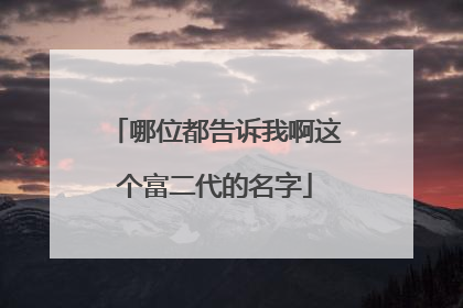 哪位都告诉我啊这个富二代的名字
