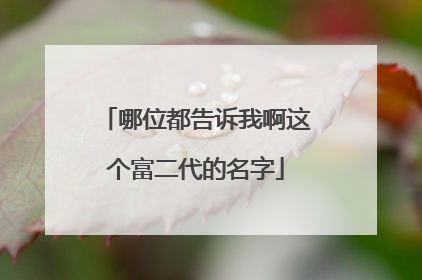 哪位都告诉我啊这个富二代的名字