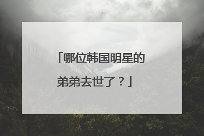 哪位韩国明星的弟弟去世了?