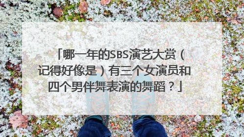 哪一年的SBS演艺大赏（记得好像是）有三个女演员和四个男伴舞表演的舞蹈？
