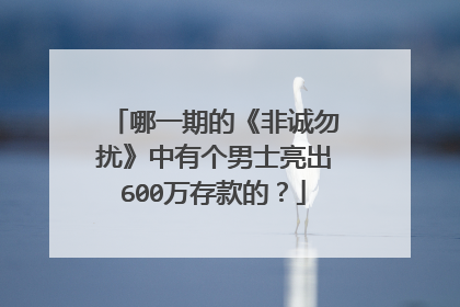 哪一期的《非诚勿扰》中有个男士亮出600万存款的？