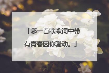 哪一首歌歌词中带有青春因你骚动。