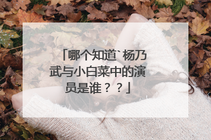 哪个知道`杨乃武与小白菜中的演员是谁？？