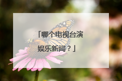 哪个电视台演娱乐新闻？