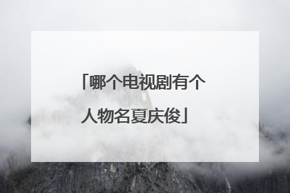 哪个电视剧有个人物名夏庆俊