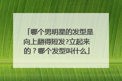 哪个男明星的发型是向上翻得短发?立起来的?哪个发型叫什么