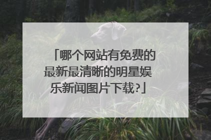 哪个网站有免费的最新最清晰的明星娱乐新闻图片下载?