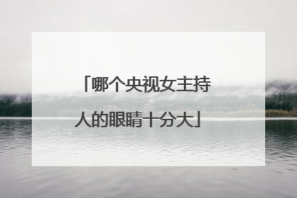 哪个央视女主持人的眼睛十分大