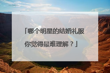 哪个明星的结婚礼服你觉得最难理解?