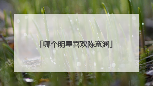 哪个明星喜欢陈意涵