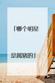 哪个明星是属猪的