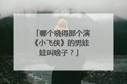 哪个晓得那个演《小飞侠》的男娃娃叫啥子？