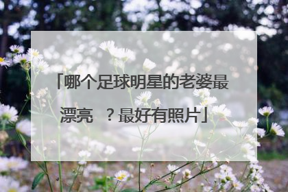 哪个足球明星的老婆最漂亮 ？最好有照片