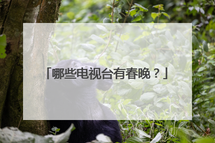 哪些电视台有春晚?