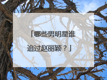 哪些男明星谁追过赵丽颖?