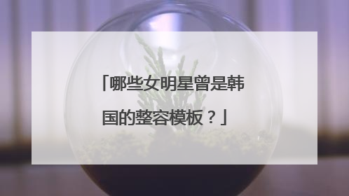 哪些女明星曾是韩国的整容模板？