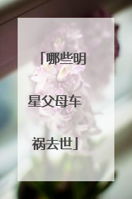 哪些明星父母车祸去世