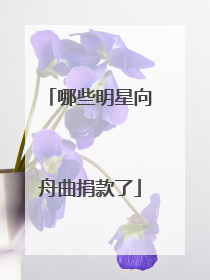 哪些明星向舟曲捐款了