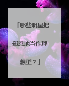 哪些明星把郑恩地当作理想型？