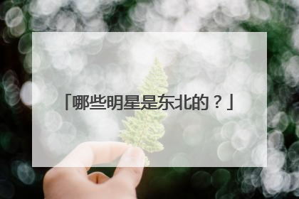 哪些明星是东北的?