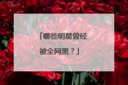 哪些明星曾经被全网黑?