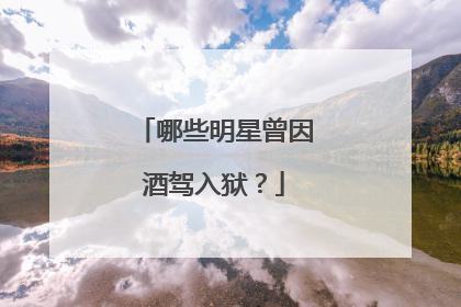 哪些明星曾因酒驾入狱？