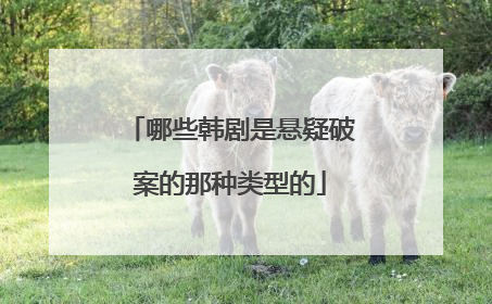 哪些韩剧是悬疑破案的那种类型的